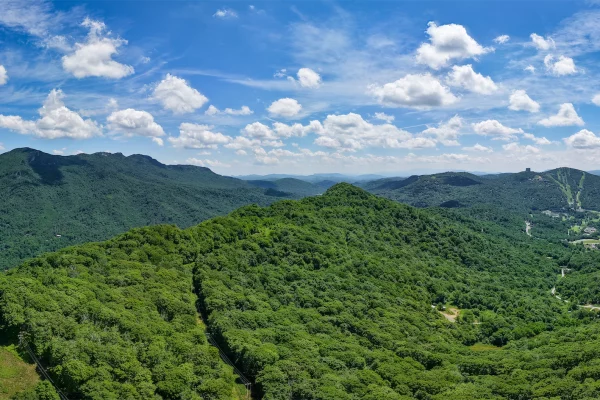 Hawksnest Zipline-151-opt